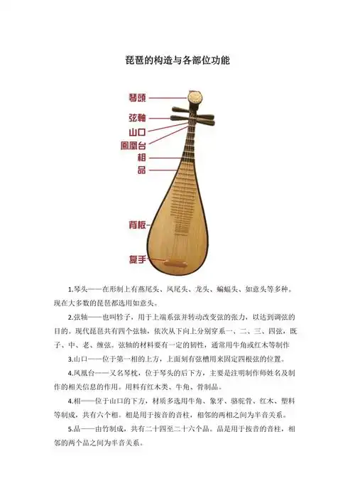 琵琶的构造与各部位功能
