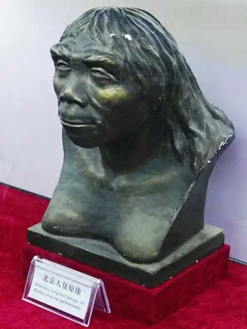 岭的蓝田猿人遗址,属古遗址类,距今已115万年,是中国人类的发源地之一