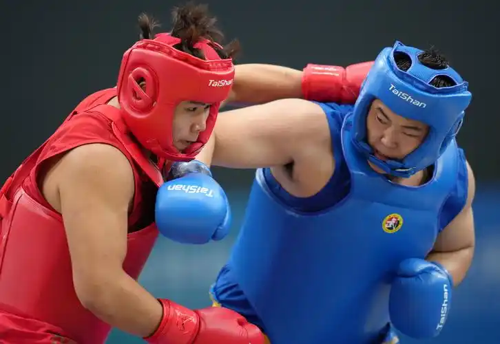 武术散打男子团体半决赛赛况