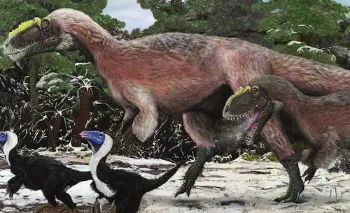华丽羽王龙复原图 《恐龙星球》中的有羽毛恐龙 实际上,恐龙与鸟类