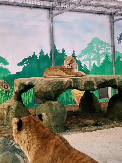 临泉魔幻动物园