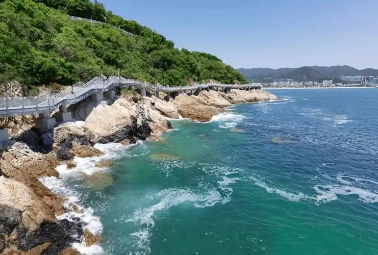 大梅沙入园政策有变行程码带星不能进