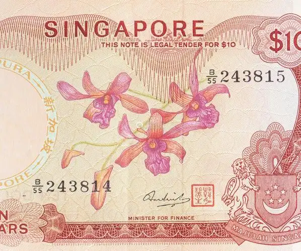 新加坡胡姬花错版10元钞票