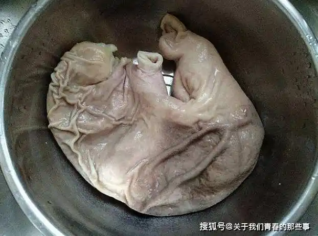 或是有黑色紫色的部分,那猪肚可能是病猪的,或者说猪肚变质