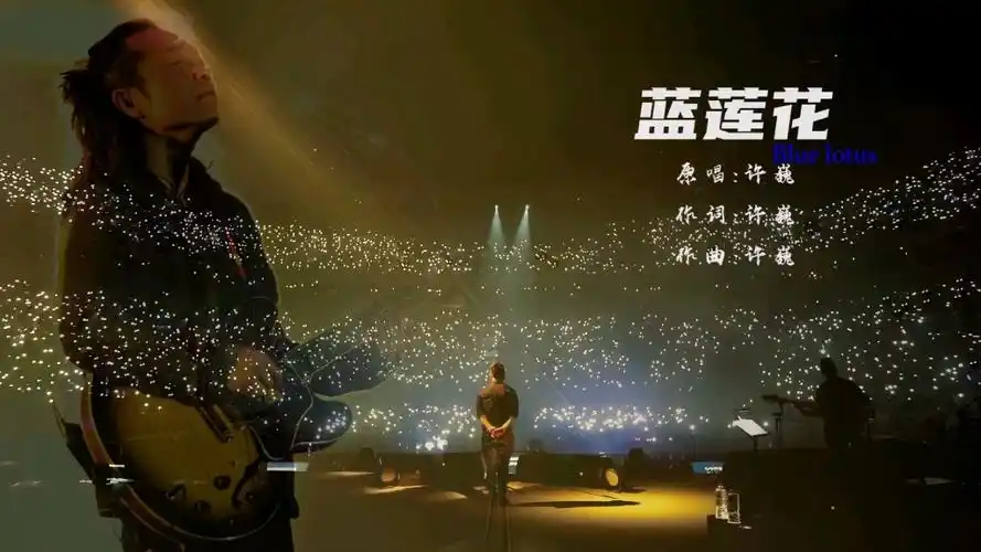 罕见许巍《蓝莲花》重温经典演唱会版本,万人大合唱,超级震撼现场