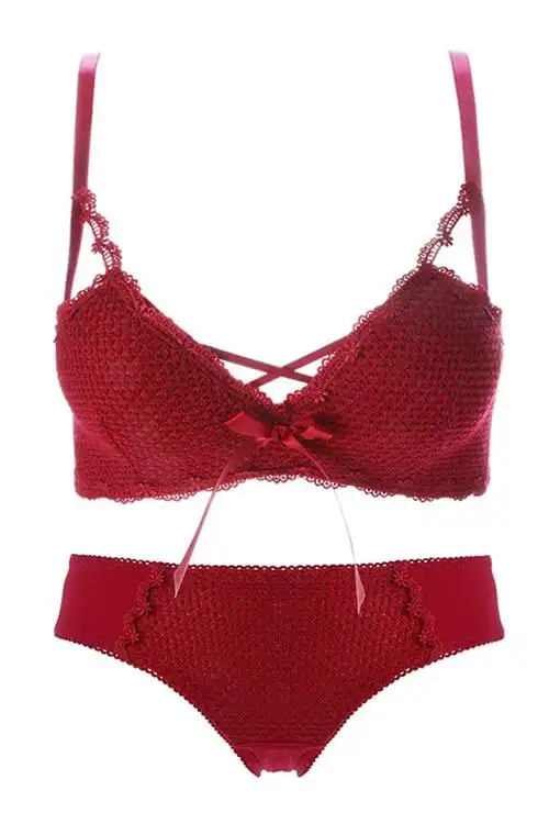 南极人 strong>红 /strong>色内衣 strong>女 /strong>小胸聚拢本命年