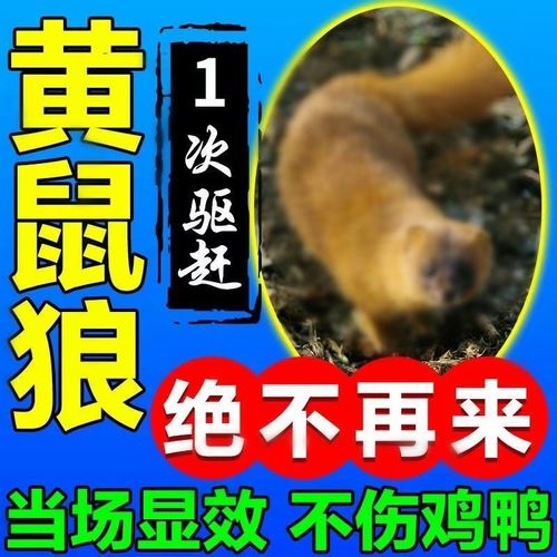 【黄鼠狼驱赶神器】室外鸡群鸭舍驱黄鼠狼喷雾灭鼠驱鸟治防黄鼠狼克星