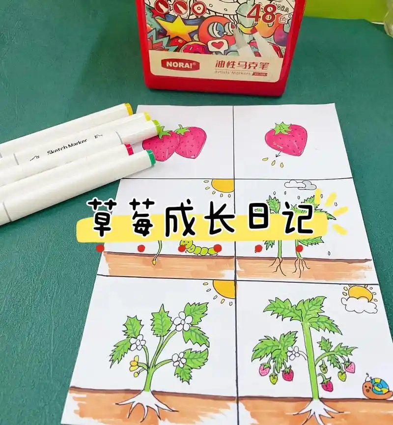 草莓成长日记.#图文种草机 适合幼儿园的植物观察记录表,感受 - 抖音