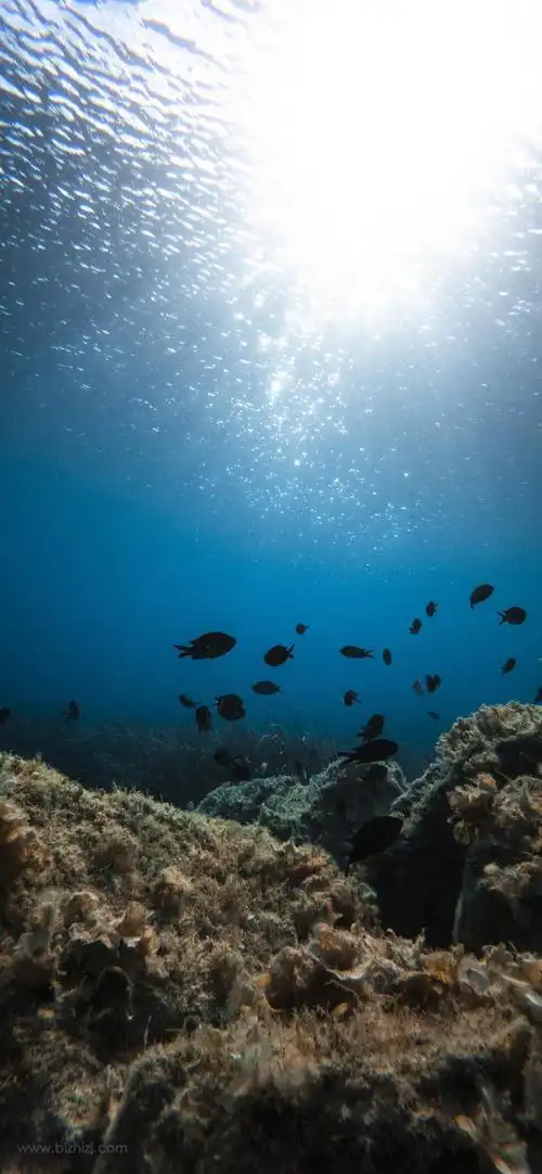 海洋世界ins超火背景图蓝色系2