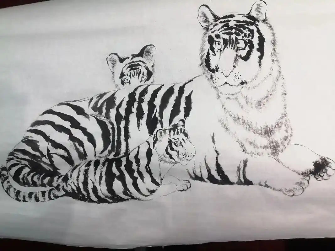 20230117方楚雄—老虎#写意国画 #虎妈妈和它的二胎兄 - 抖音