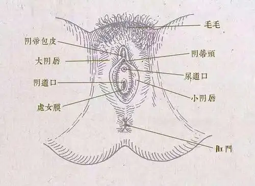 robinnnnn的相册-all about sex