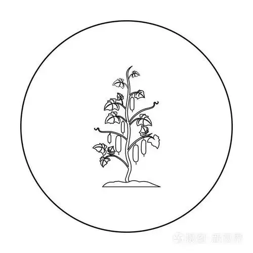 从大的农场,花园,农业大纲单株图标插画-正版商用图片0ocwrj-摄图新