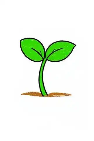 🎨芦芽简笔画✨