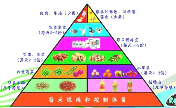 健康饮食金字塔