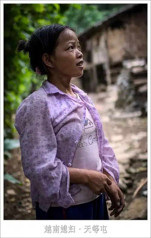 越 南 媳 妇