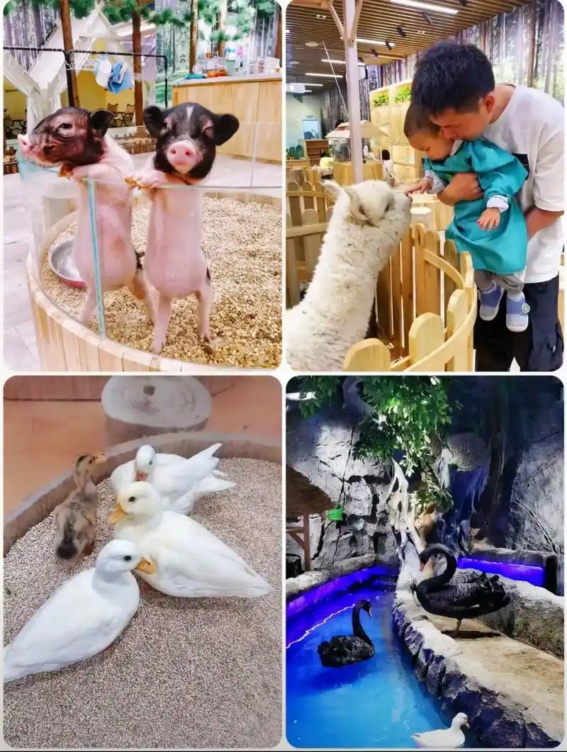动物园观赏园萌宠乐园 #亲子游玩好去处 - 抖音