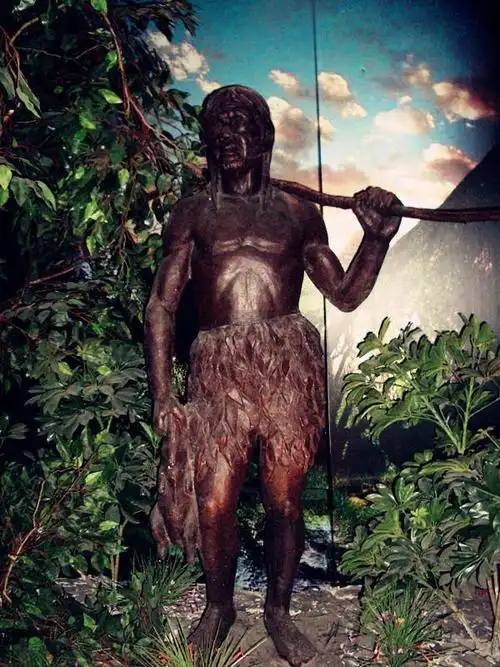 晚期猿人_发现过程_形态特征_生活习惯 - 头条百科