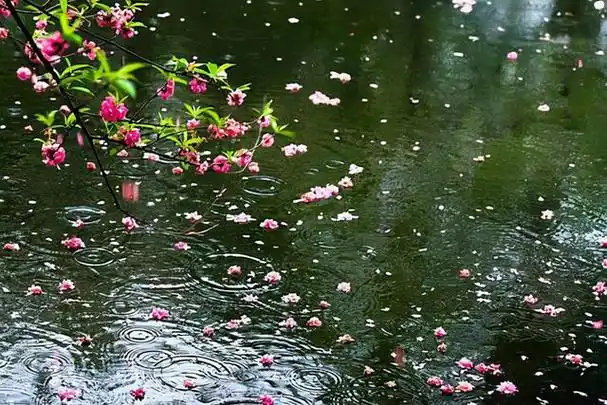 第6名 南唐李煜《浪淘沙 窗外雨潺潺》