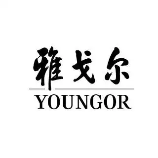 youngor/雅戈尔 yxxx2d022fia 【报价 价格 评测 怎么样】 -什么值得