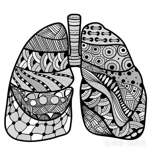 手绘速写的肺