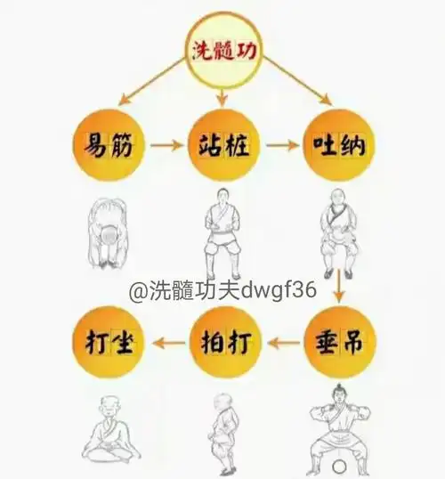 洗髓功它通过秘法吐纳,站桩,根部垂吊,经络拍打,伸筋拔骨,打坐禅定"6