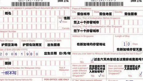 新加坡出入境卡样本