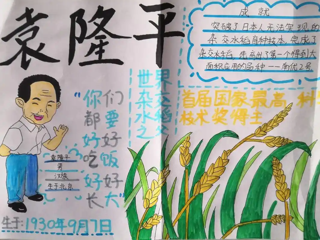 杂交水稻之父手抄报 - 抖音