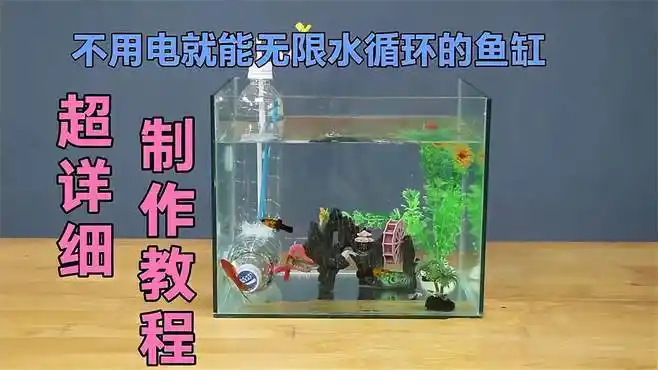 制作不用电就能无限水循环的鱼缸,超详细教程-vlog视频-搜狐视频