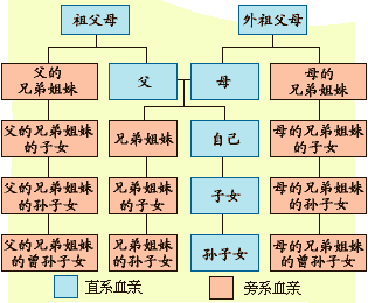 求各位:这样的血缘算第几代?本人,母亲,外婆;;;女孩,女孩父亲,爷爷.