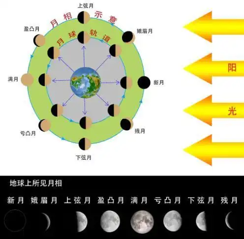 初一到三十的月亮各叫什么月如初一叫新月,十五叫满月,其他的呢?