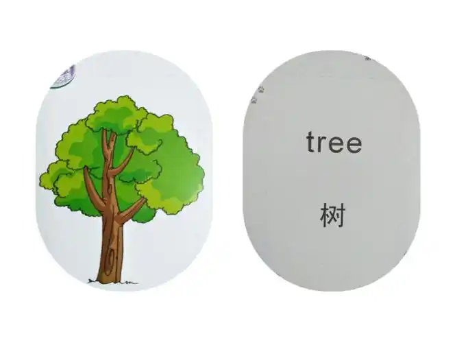 起航国际幼儿园马家堡分园【中四班】周总结