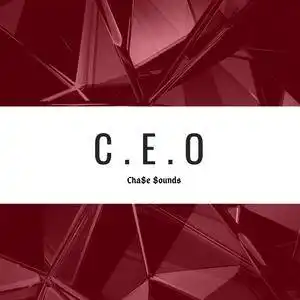 ceoexplicit