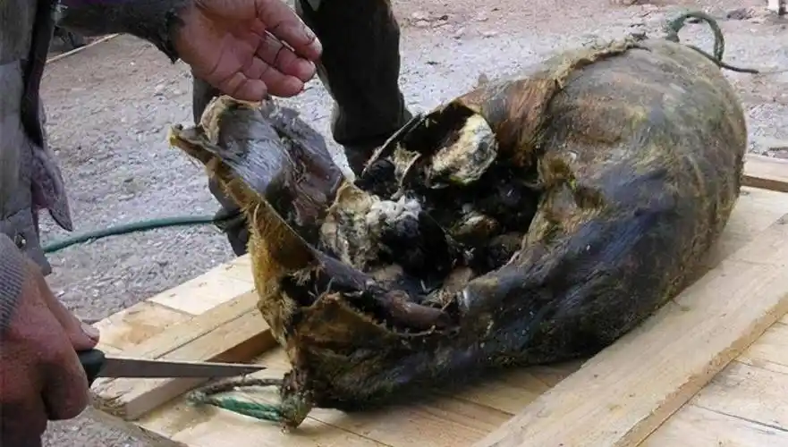 爱斯基摩人的腌海雀出圈了鲱鱼罐头屈居第二堪比生化武器