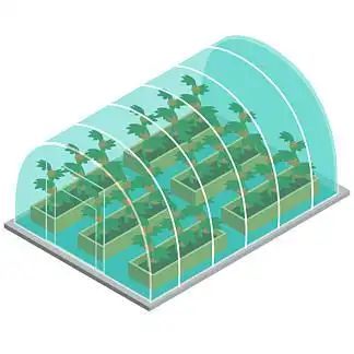 手绘农业 i>大 /i> i>棚 /i>番茄种植插画 i>素 /i> i>材 /i>