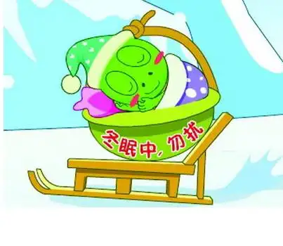 中班科学教案谁在冬眠