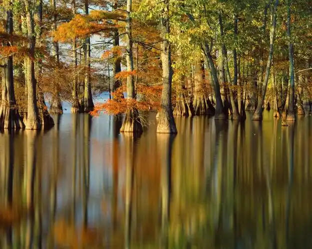 秋天,树木,河流,水中的倒影 壁纸 - 1280x1024