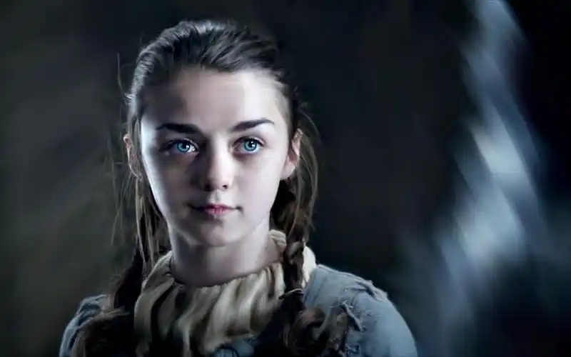 艾莉亚·史塔克 | 凛冬将至 独狼死 群狼活 | arya stark - 权力的