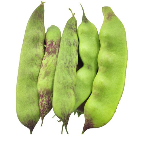 豆角东北新鲜开锅烂面老将将军一点红农家自种其它