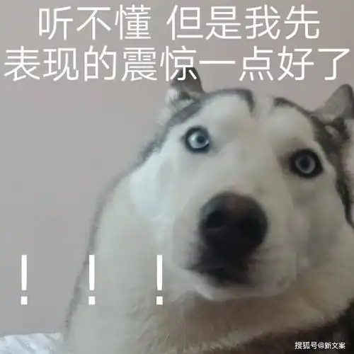 你见过最扯的小说情节是啥emm智商不够用啊