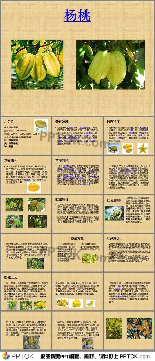 杨桃的保鲜与贮藏ppt