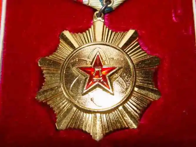 贴图pla一级英模奖章