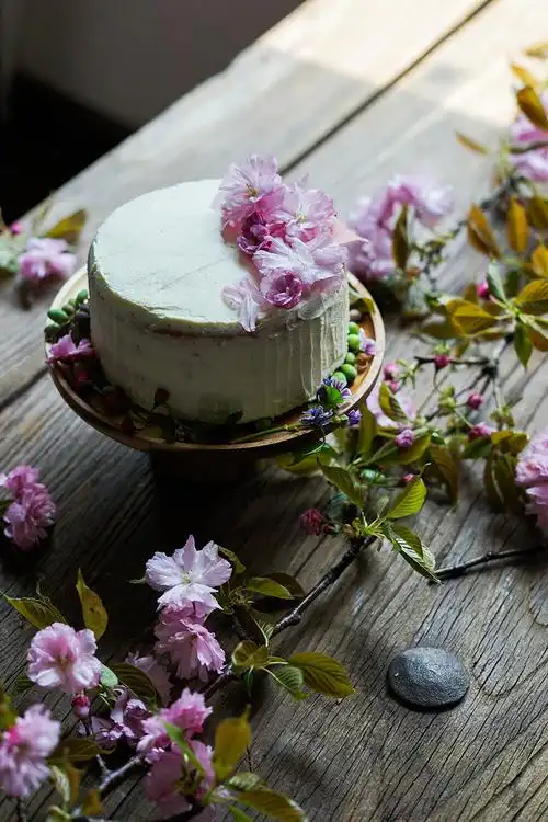 生活不需要有远大的理想,只想把所有的梦和远方,都寄托在这四季餐桌上