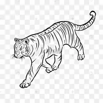 线描行走的老虎