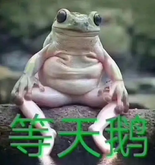 抖音癞蛤蟆想吃天鹅肉搞笑图片分享