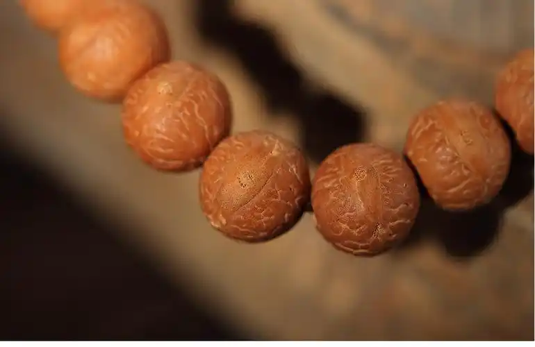 行深尼泊尔凤眼7-19mm龙眼麒麟眼五星五角菩提子高密正眼散籽佛珠原籽