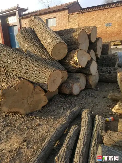 出售各种规格榆木槐木可代加工