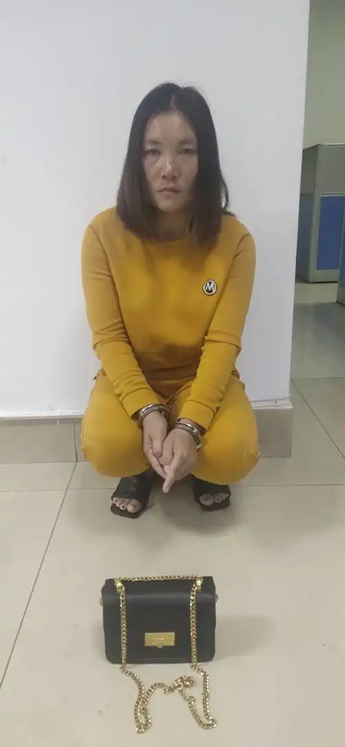 金贸便衣巡逻队连续抓获三名儋州籍女性盗窃嫌疑人