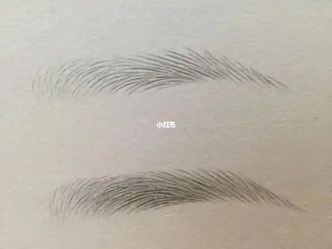 眉毛的线条排列