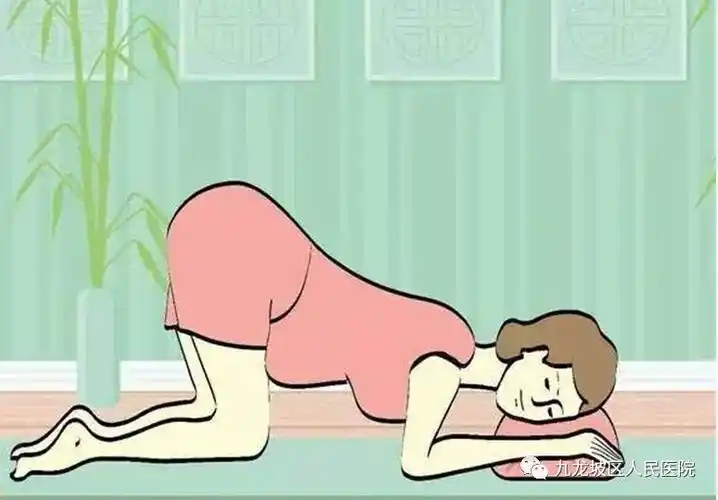 【通知】1月5日孕妇学校通知:自由体位待产