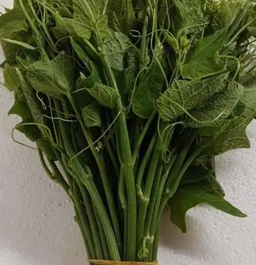 [佛手瓜苗批发]佛手瓜苗菜价格1.50元/斤 - 一亩田